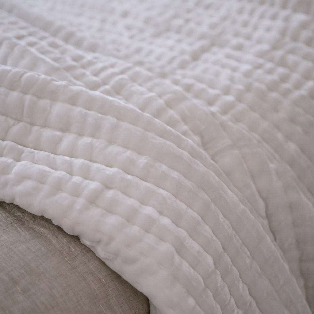 Enchant Cloud White Silk Velvet Comforter