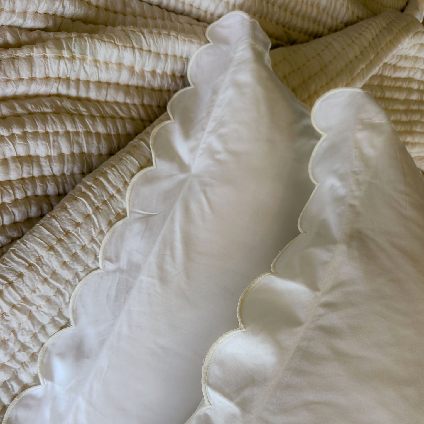 French Vanilla Scalloped Edge 400TC Cotton Euro Covers