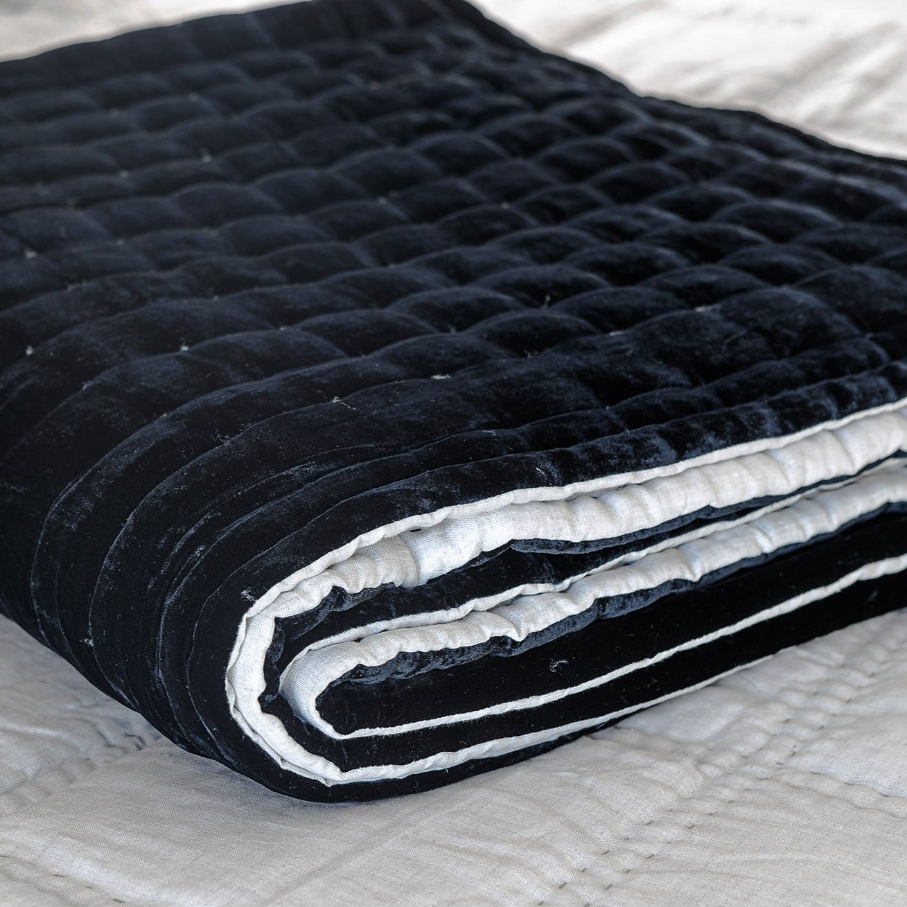 Tempt Black Silk Velvet Throw