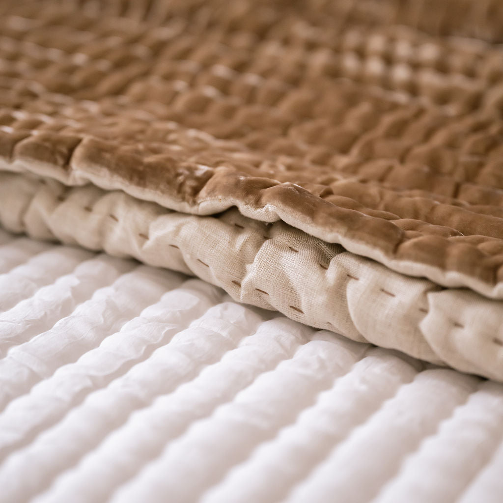 Enchant Latte Silk Velvet Comforter