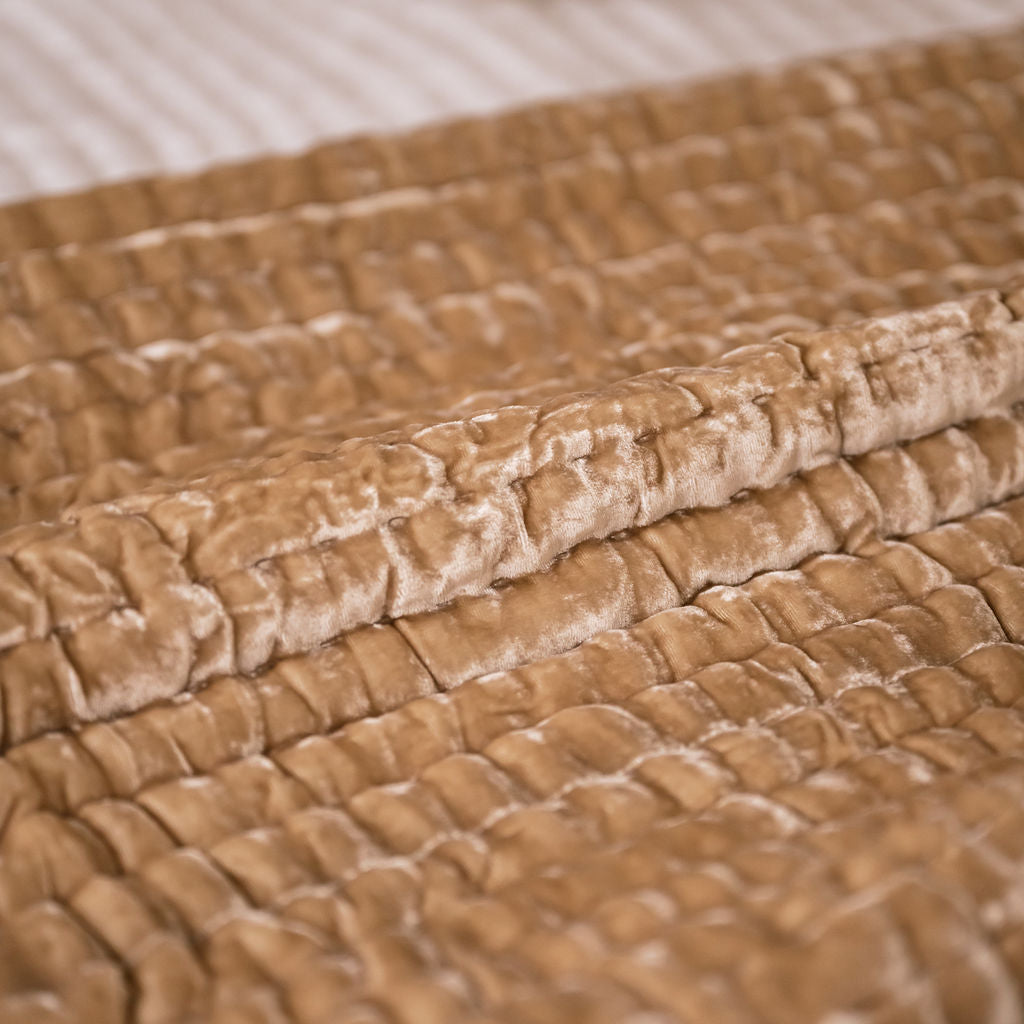 Enchant Latte Silk Velvet Comforter