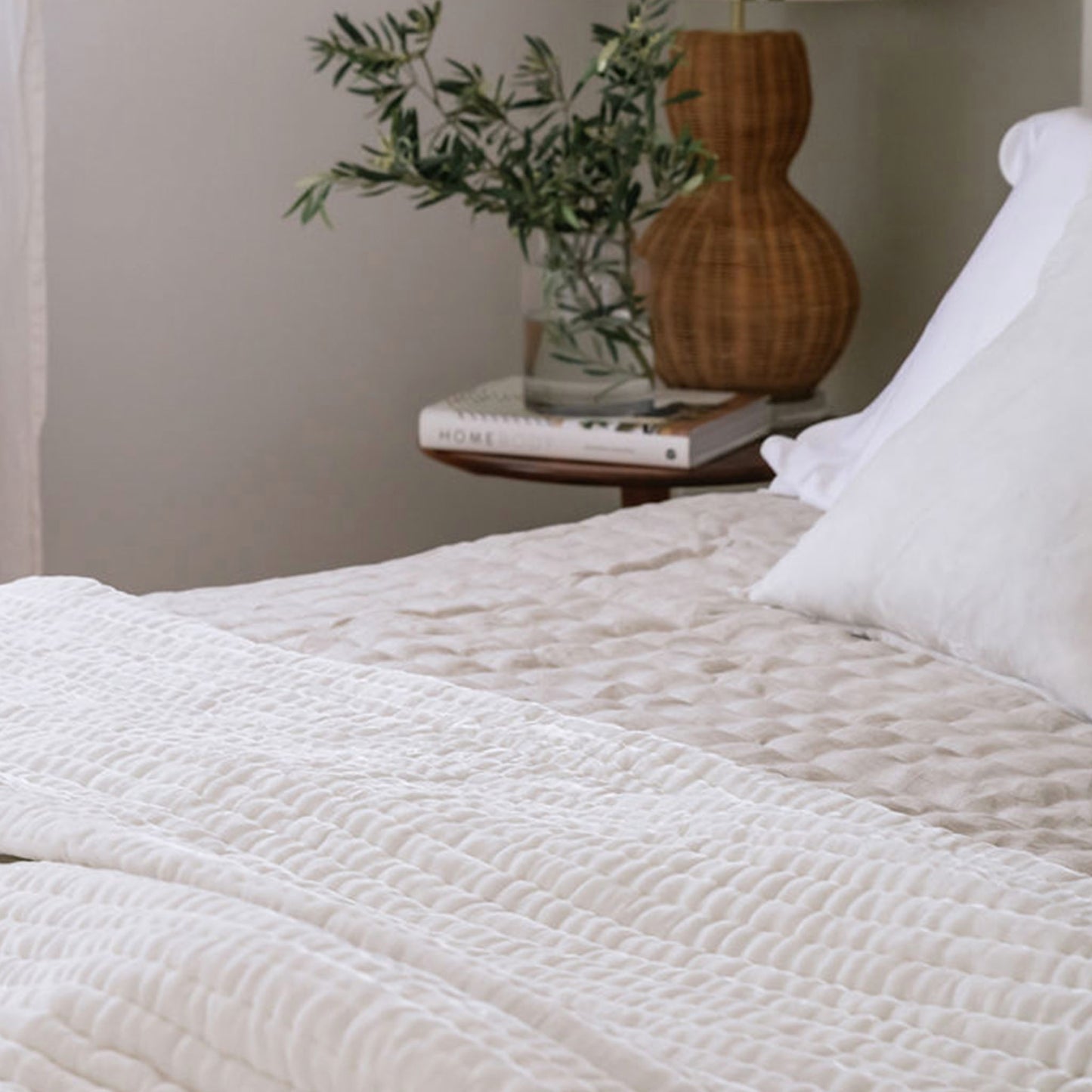 Enchant Cloud White Silk Velvet Comforter