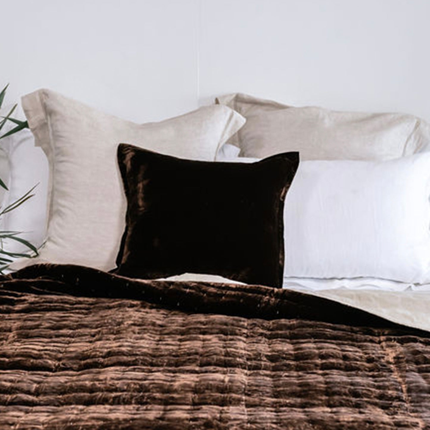 Chocolate Silk Velvet Cushion