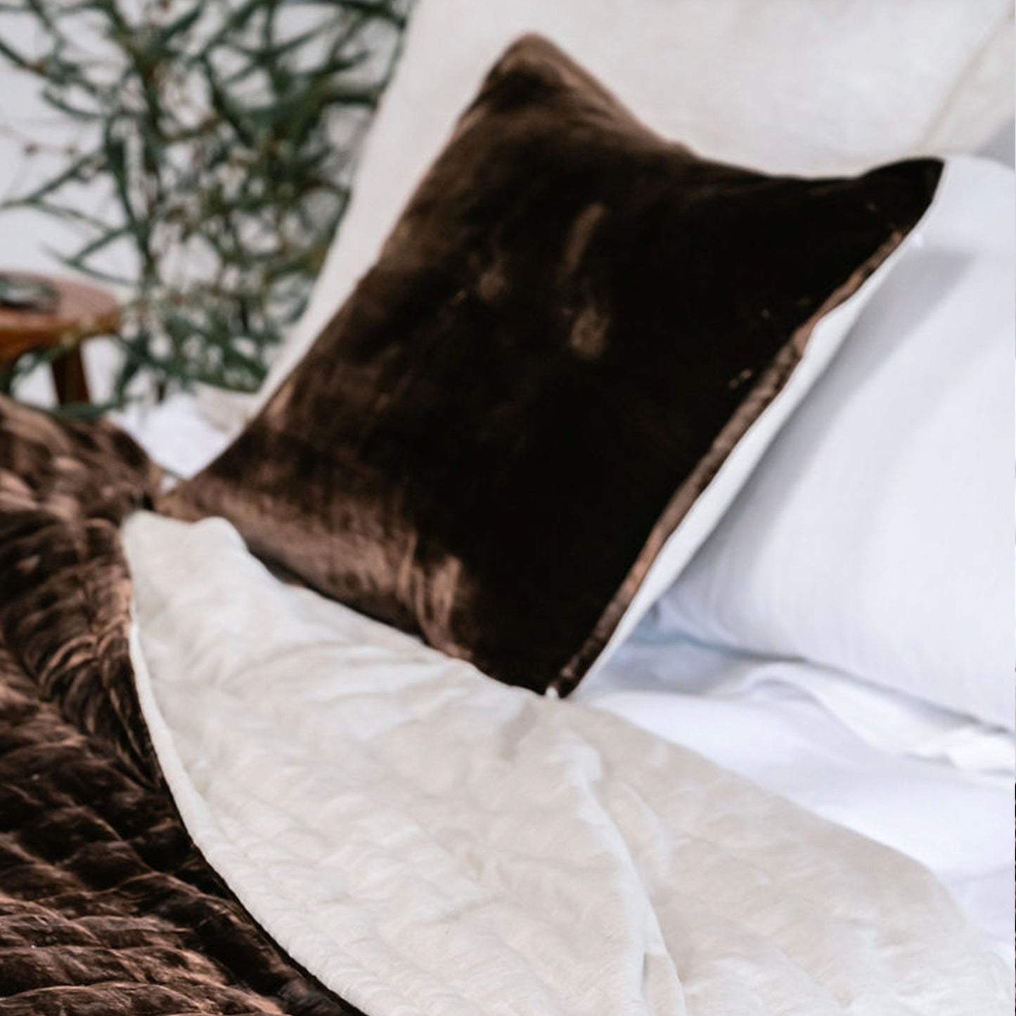 Chocolate Silk Velvet Cushion